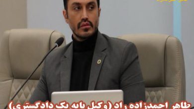 وکیل دیوان عدالت اداری