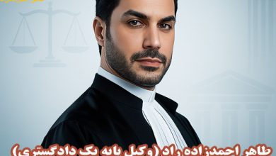 وکیل دیوان عالی کشور