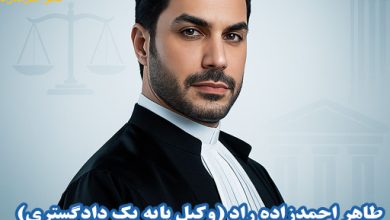 وکیل دیوان عدالت اداری